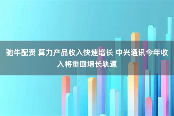驰牛配资 算力产品收入快速增长 中兴通讯今年收入将重回增长轨道