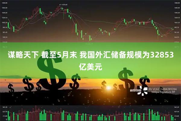 谋略天下 截至5月末 我国外汇储备规模为32853亿美元