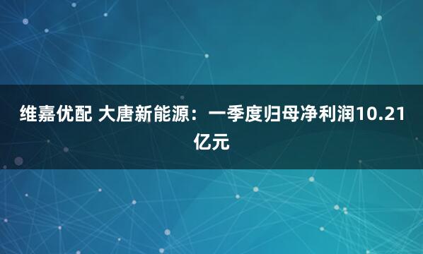 维嘉优配 大唐新能源：一季度归母净利润10.21亿元